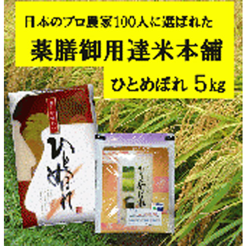 農薬・化学肥料不使用　一目ぼれ　5kg×1袋