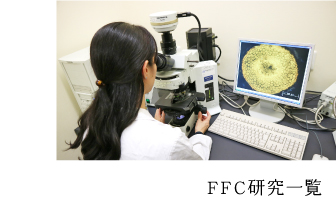 FFC研究一覧