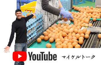 動画で見るFFC導入事例